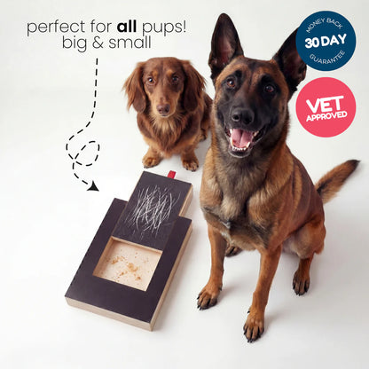 PetComfy™ | Stress-Free Nail Care System