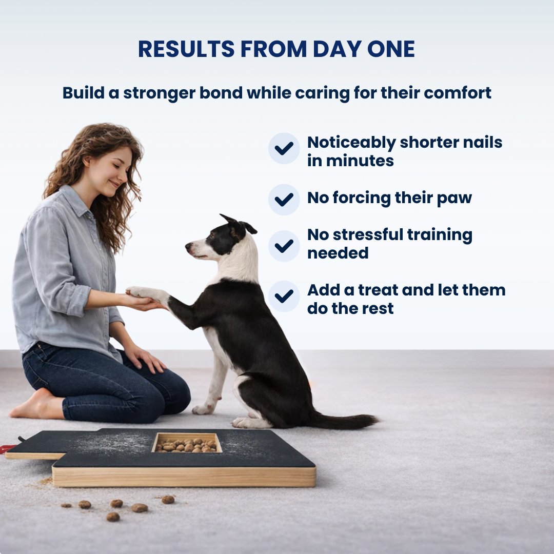 PetComfy™ | Stress-Free Nail Care System